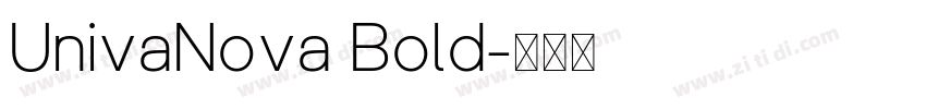 UnivaNova Bold字体转换